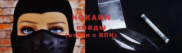 Альфа ПВП Инсар
