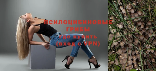 скорость Кинешма