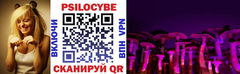 ссылка на мегу онион  Курильск  Псилоцибиновые грибы прущие грибы 