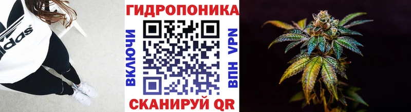Конопля марихуана Курильск